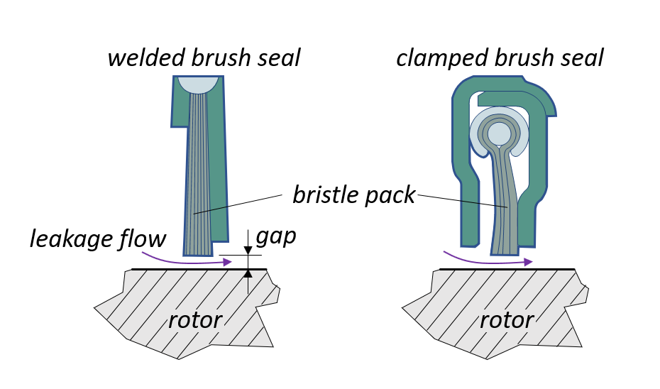 Forschungsschwerpunkt_Song_Hildebrandtbrush_seal1